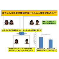 赤ちゃんの好み、影響するのは他者の視線…京大が研究成果 画像