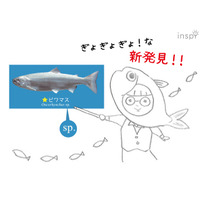 まるで図鑑、勉強にぴったりB5サイズ「滋賀のお魚ヨシノート」 画像