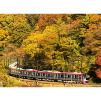 高尾山からの帰りは座って楽々、京王「Mt.TAKAO号」11月に運行 画像