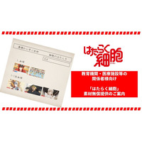 アニメ「はたらく細胞」、教育機関・医療施設に向け素材の無償提供開始 画像