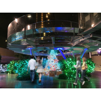 サンシャイン水族館「Christmas Party！」11/8-12/25 画像