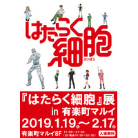 「はたらく細胞」展、有楽町マルイにて1/19－2/17開催 画像