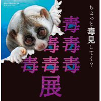 毒生物が大集合「毒毒毒毒毒毒毒毒毒展（もうどく展）」札幌3/22-5/7 画像