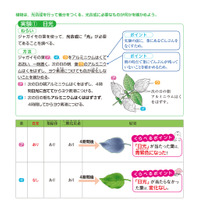 【中学受験】入試でる度★★★「養分のでき方」理科・植物 画像