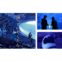 【GW2019】夜のいきもの観察・解説ツアーなど…京都水族館4/27-5/6 画像