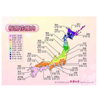 桜の開花は遅め、都心では入学シーズンにピークか 画像