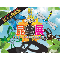 【夏休み2019】福井総合植物園プラントピアで「昆虫展」8/10-8/19開催 画像