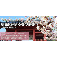 京の桜…桜色に染まる京都と美味めぐり情報を公開 画像