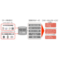 KDDI、大学スポーツの選手育成・ファン拡大を支援 画像