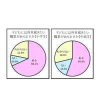 家庭の職業観…中高生の7割近く、就きたい職業のために努力 画像