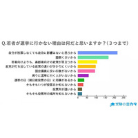 中高生の76％、選挙に行かなくても「政治に影響ない」 画像