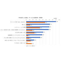 2019年子育て層に流行った商品・サービスは？ 画像