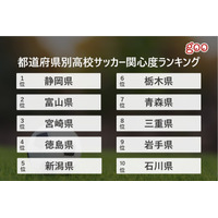 高校サッカー関心度ランキング、1位の都道府県は？ 画像