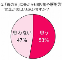 母の日は一家だんらんで過ごしたいママが5割以上…メルシャン調査 画像