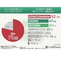 休校時の自宅学習、母親の3割「学力格差に不安」 画像