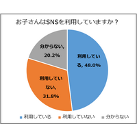 子どものSNSトラブル、最多は「ネットいじめ」34％ 画像