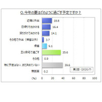 2020年夏の過ごし方「自宅で過ごす」が4割弱 画像