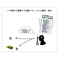 高性能AI開発の一助に…「メタ認知」で超多次元の複雑な問題を簡単化 画像