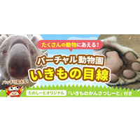 放課後たのしーと「バーチャル動物園」開園…オンライン遠足にも 画像