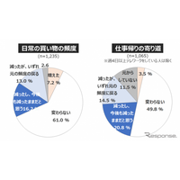 休日のお出かけ「今後も減ったまま」3割...自主調査 画像