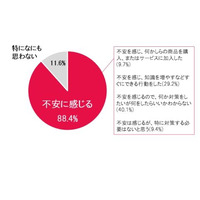 9割がネットトラブルに不安、うち半数が対策せず 画像