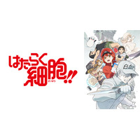 「はたらく細胞!!」など新作アニメ5作品、ABEMA無料配信 画像