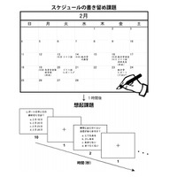 使用するメディアで記憶力や脳活動に差…東大・NTTデータ経営研ら 画像