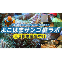 環境問題学ぶ「よこはまサンゴ礁ラボ2021」小学生募集 画像