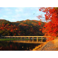 北日本は紅葉シーズンへ…ウェザーニューズ「見頃予想」 画像