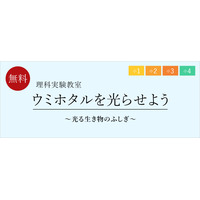 栄光、小1-4理科実験教室「ウミホタルを光らせよう」6-7月 画像