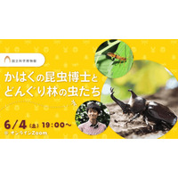 オンライン授業「かはくの昆虫博士とどんぐり林の虫たち」6/4 画像