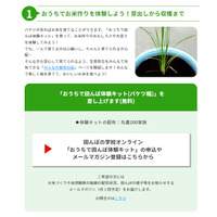 宝酒造、お米作り「田んぼ体験キット」先着200家族に配布 画像