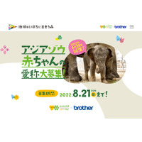 東山動植物園、アジアゾウの赤ちゃんの名前募集8/21まで 画像