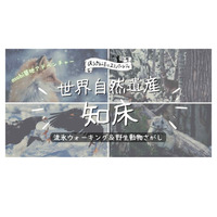 【春休み2023】クリオネ＆野生動物を探す…知床3泊4日 画像