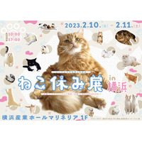 「ねこ休み展 2023 in 横浜」2/10-11、写真展や限定グッズ 画像