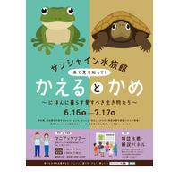 サンシャイン水族館「かえるとかめ」展示・ツアー6/16-7/17 画像