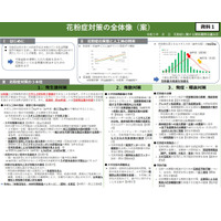 花粉症、30年後に発生量半減へ…政府が対策を取りまとめ 画像