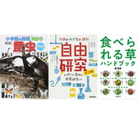 【夏休み2023】honto「自由研究」に使える本ランキング 画像