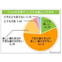 8割がペットの子育・しつけ「楽しい」、相談は動物病院やネット 画像