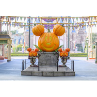 TDL「ディズニー・ハロウィーン」写真スポット紹介 画像