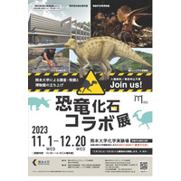 熊本大「恐竜化石コラボ展」入場無料、12/20まで 画像