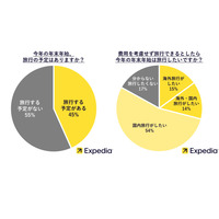 【年末年始】半数が旅行予定…理想の旅先1位「ハワイ」 画像