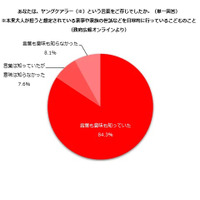 目標や夢「あきらめざるを得ない」ヤングケアラー調査 画像