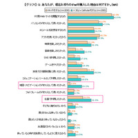 購入理由はWeb閲覧・PC代わり・アプリ…iPad利用実態比較調査 画像