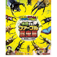 【夏休み2024】体感するファーブル昆虫展、7/13-8/25横浜 画像