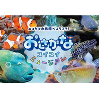 【夏休み2024】玉川高島屋S・C「ニコタマ水族館」8/16-9/1 画像