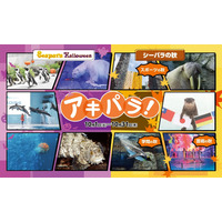 ハロウィンや秋イベント「アキパラ」八景島シーパラ10月 画像