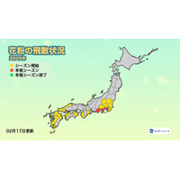 1都19県で花粉シーズン入り…西日本で過去最多予想 画像