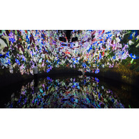 【GW2025】チームラボ新作展示、札幌にオープンする美術館で5/2より 画像