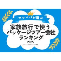 家族旅行で人気「パッケージツアー予約会社」ランキング1位は…満足度9割超 画像